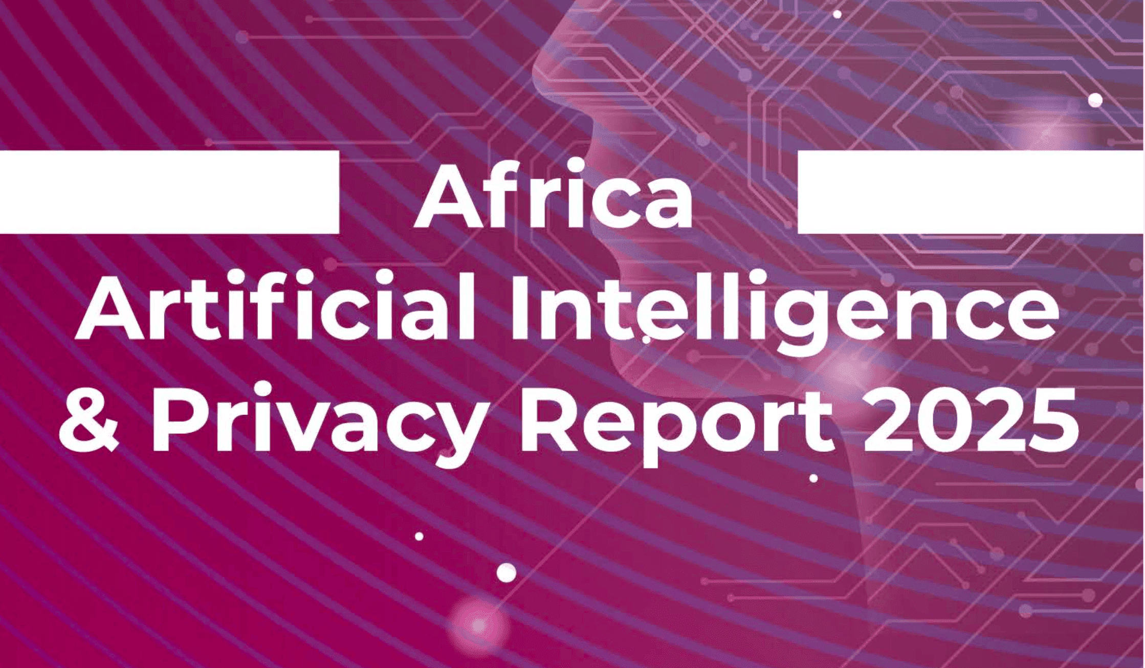 Africa AI Privacy Report 2025